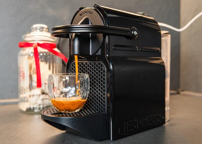 Casa Di Design Con Giardino Privato In Centro A *